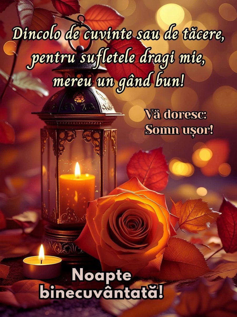 Mariana Munteanu tweet media