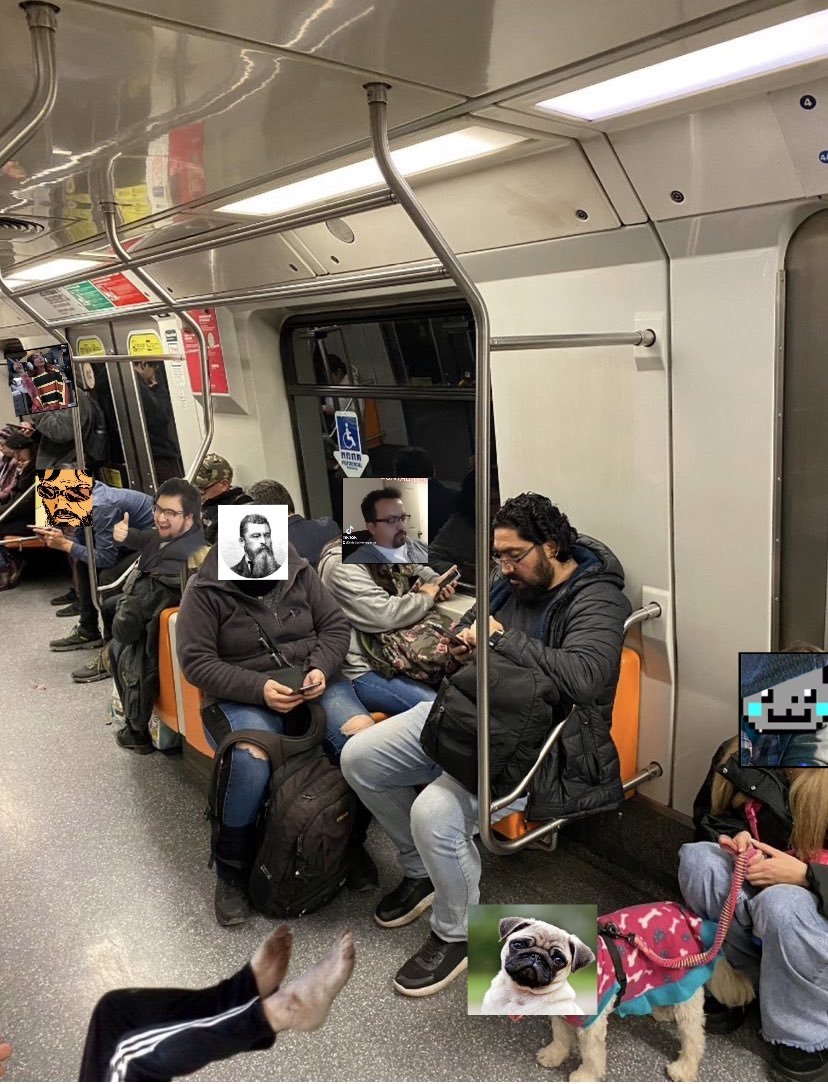 FREIRE tweet media