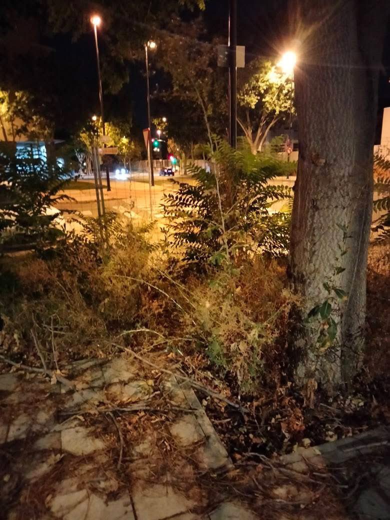 OmiDoki's tweet photo. @zaragoza_es Y en Los Barrios también podéis ver #zaragozaflorece https://t.co/tSU7gT6iFe