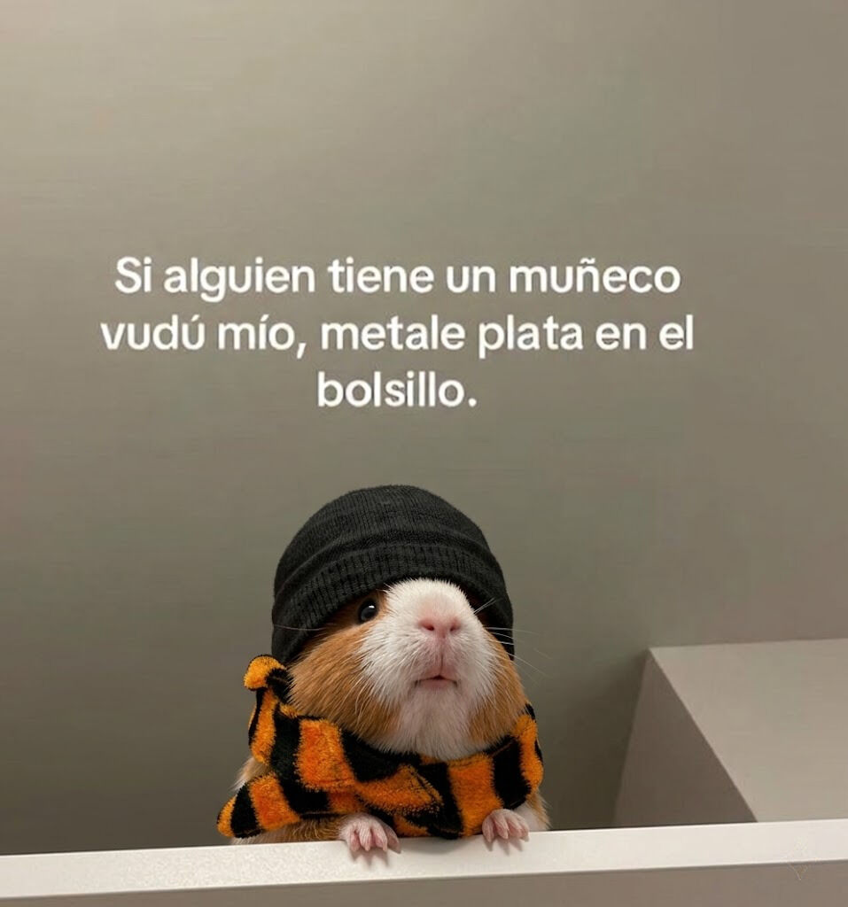 flanchota's tweet photo. porfa https://t.co/tzT1rSsfZc