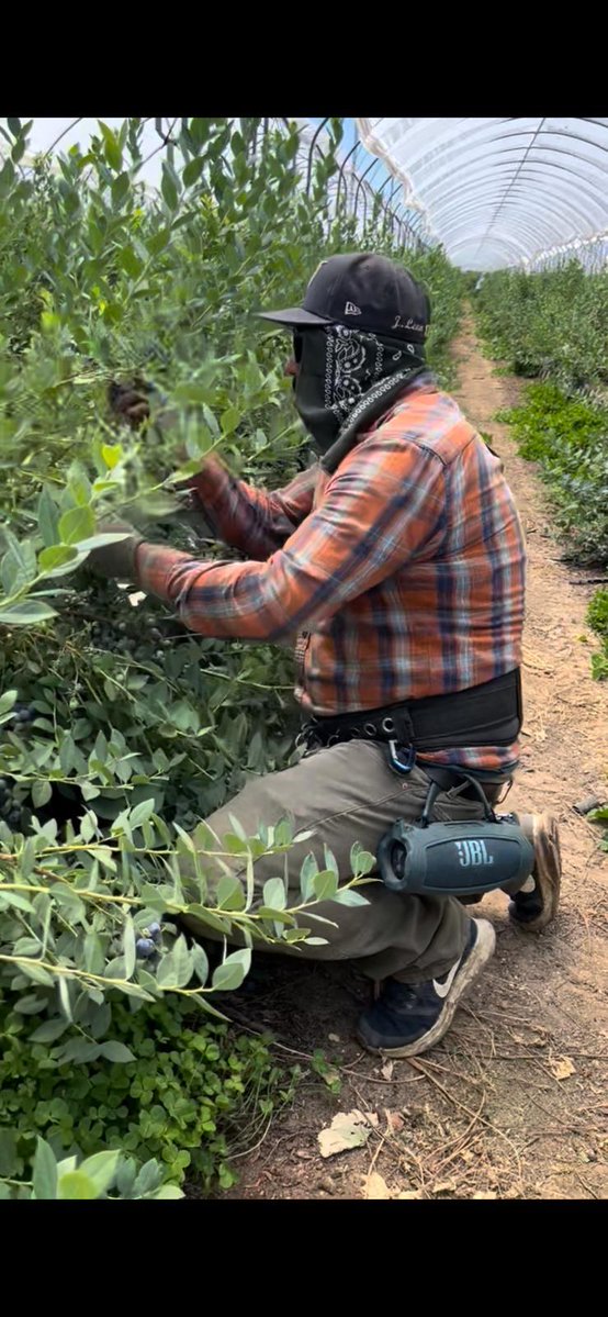 United Farm Workers tweet media