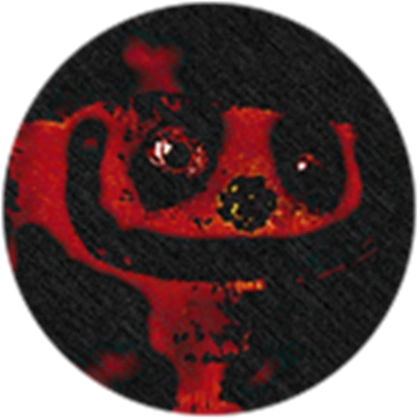 BEARSTAR News tweet media