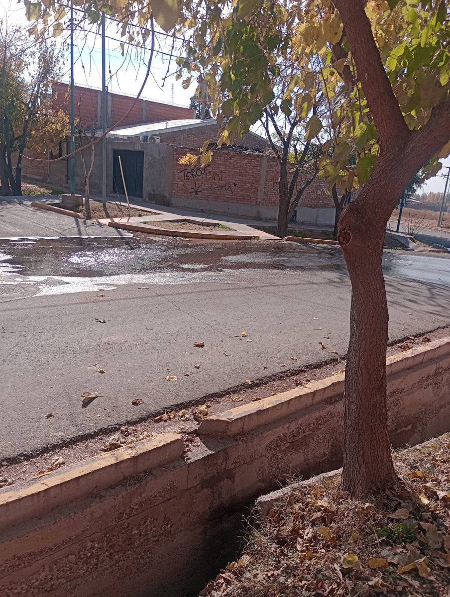 Jonamenduco's tweet photo. @AguasMendocinas PERDIDA DE LÍQUIDOS CLOACALES CALLE GENERAL PAZ ESQUINA CALINGASTA DE GODOY CRUZ 
POR FAVOR VENIR A SOLUCIONAR.... https://t.co/PCKqC3Jq2C