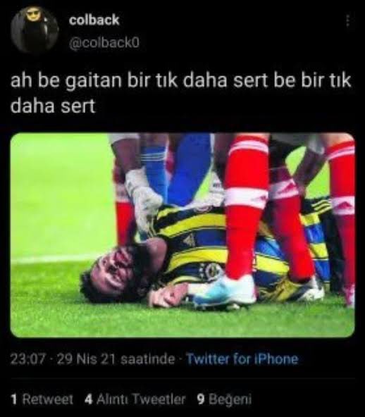 🦁 tweet media