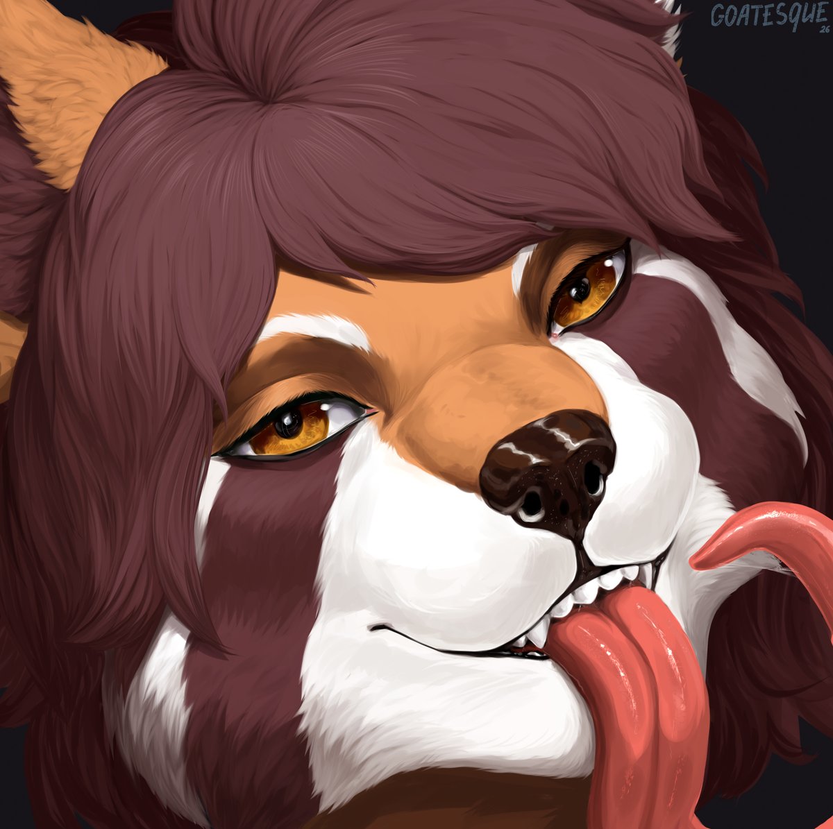 goatesqueart's tweet photo. A bunch of comms I've done for Mushy Red Panda
🧡🖤 https://t.co/IEWj2PbzPI