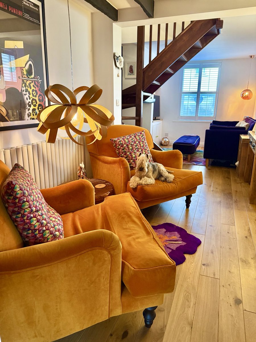Bertie Lakeland tweet media