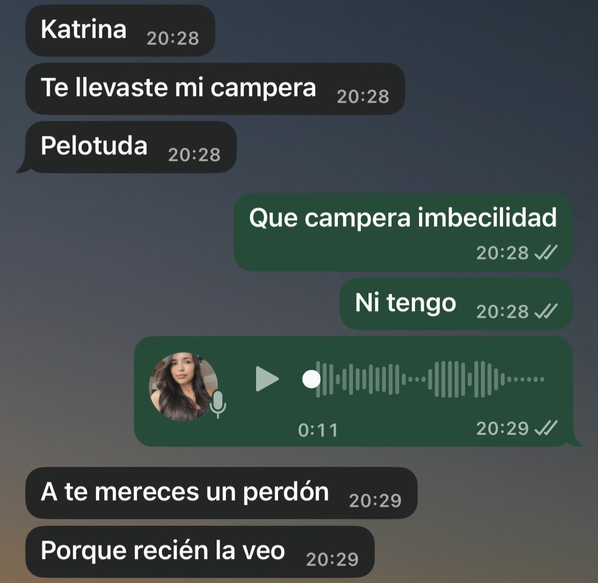 KatrinaaaF's tweet photo. Mi hermana adolescente: https://t.co/wzjXzn9jey