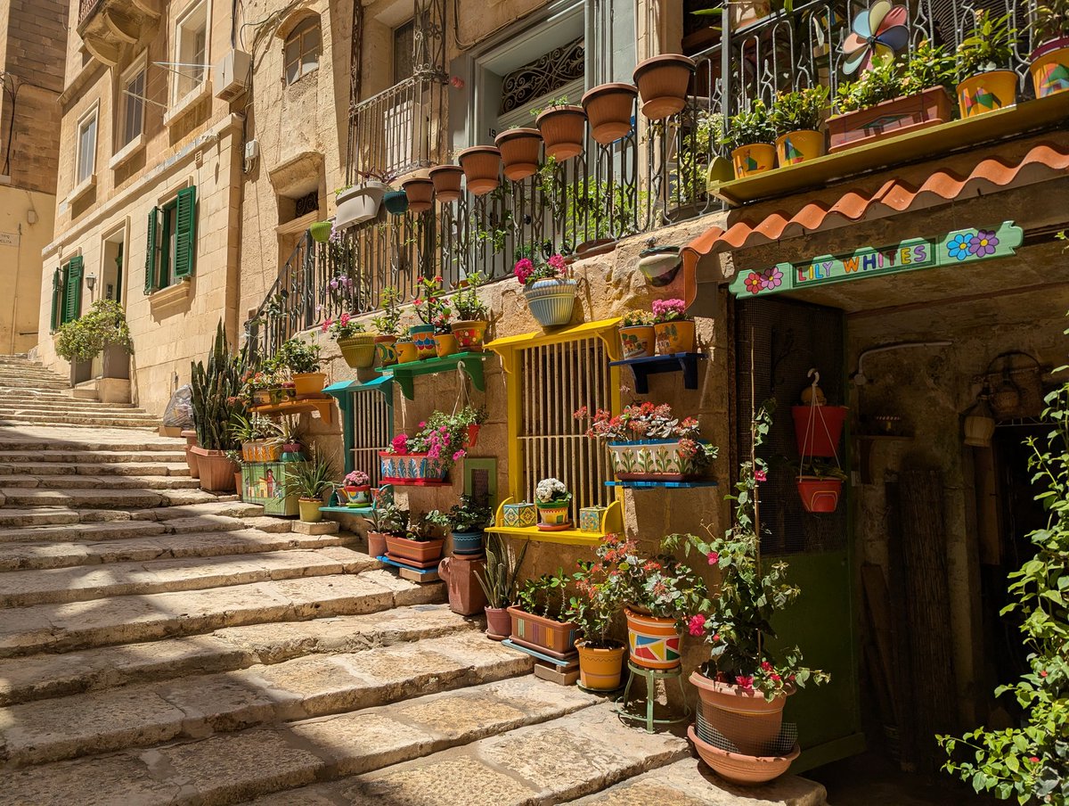 MsFlower76's tweet photo. Lovely Valletta 🩷
#Malta @jintybun60 https://t.co/XrZ8RoHhnC