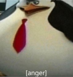 lappfran's tweet photo. Mrw I remember there are real human beings who ship Kazuma and Megumin (17 and 14 respectively btw) https://t.co/G0P9hnPiDw