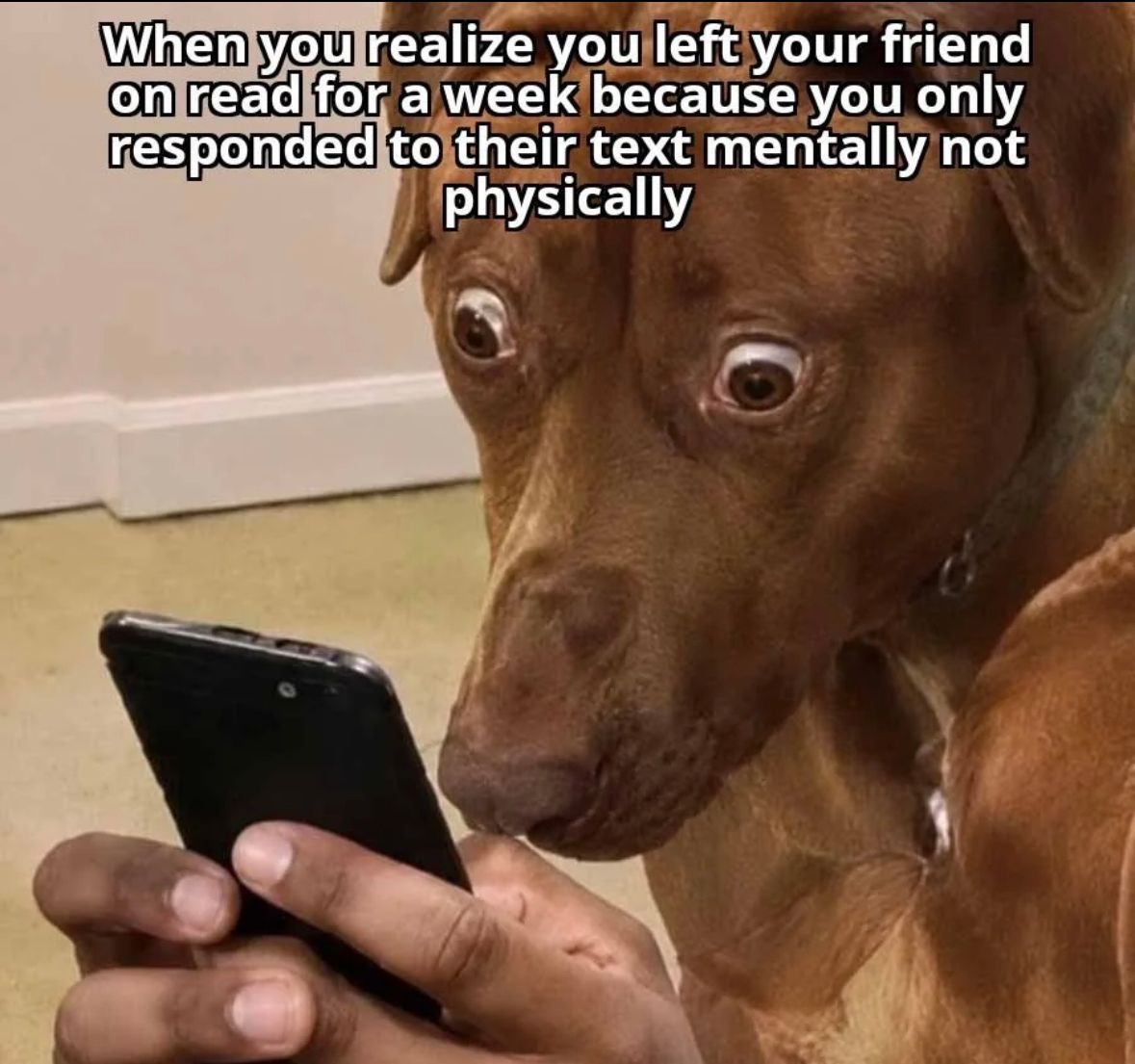 ADHD Memes tweet media