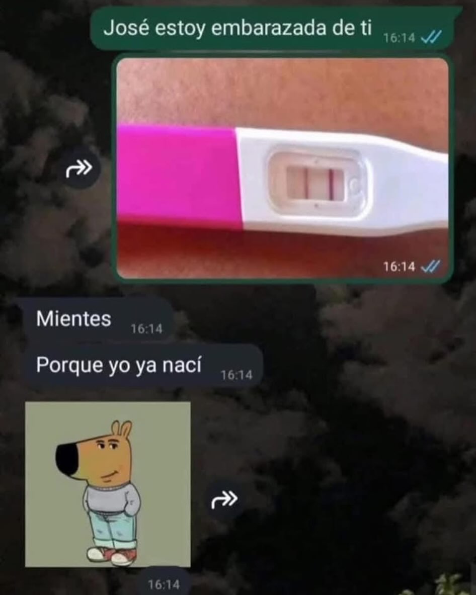 Alejo tweet media