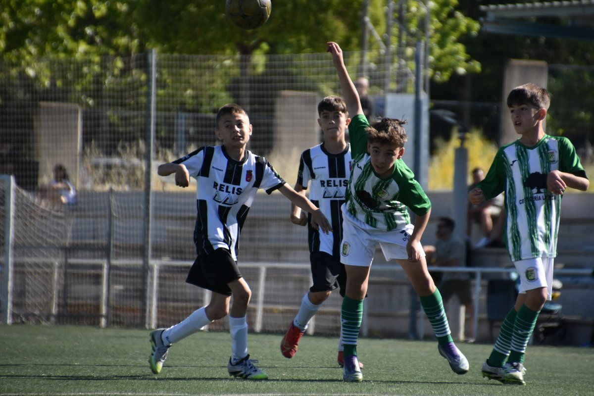 emfvillarejo's tweet photo. 💚 EMF. VILLAREJO 💚

🟢⚪️PARTIDO DE LIGA BENJAMIN

Galería 📷 . . . 

⭐️Temp. 2025/26⭐️ G.24 Jornada 26
⭐️EMF. Villarejo 7 - 3 AD. San Fernando De Henares "A"
⭐️Sabado 23 De Mayo. 10:00h
⭐️La dehesa
⭐️Pref. Benjamin 

Rubén ⚽️⚽️⚽️⚽️ , Miguel ⚽️⚽️ , Mateo ⚽️

#OrgulloVerdiBlanco https://t.co/upuURx3er9