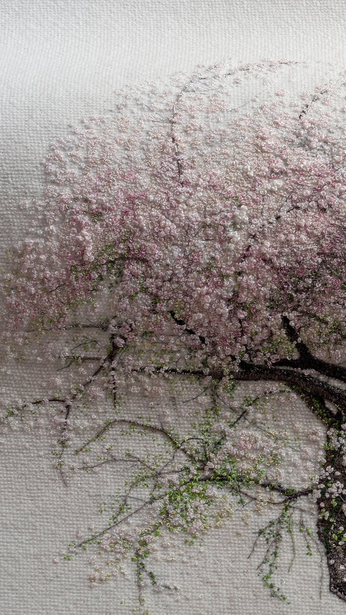 katrinvates's tweet photo. Pink Sakura https://t.co/kAxkruEw9S