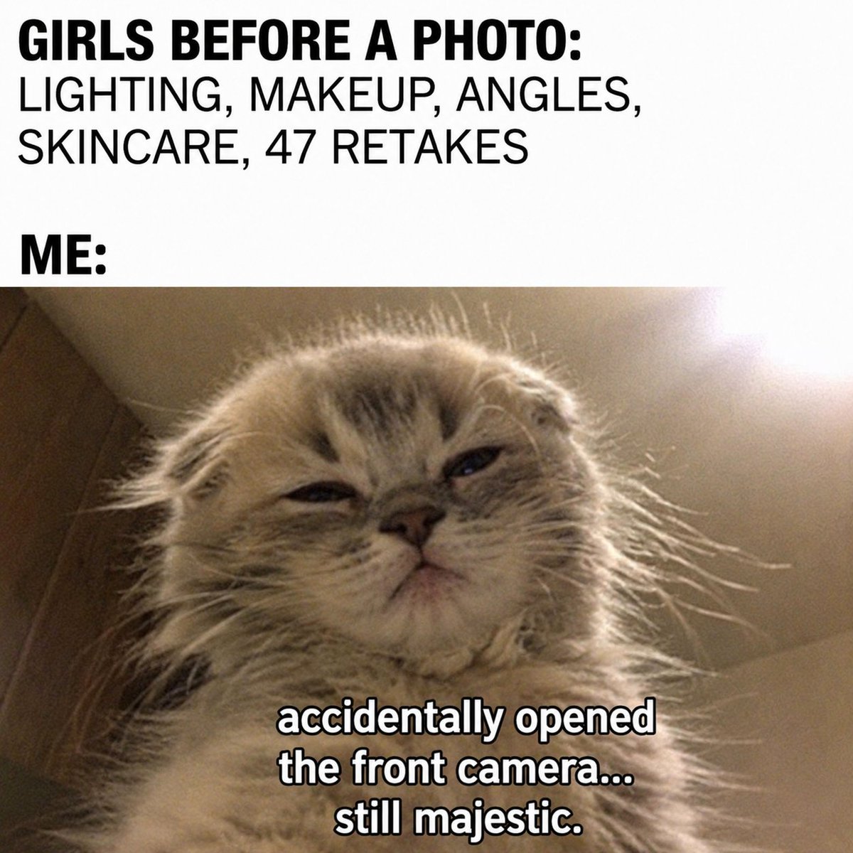 metartificial's tweet photo. POV: you accidentally opened the front camera and discovered you’re actually majestic. 🐱👑
No filters.
No preparation.
Just elite kitten confidence.
#meme #animal #kitten https://t.co/pIL3Rmi5iE