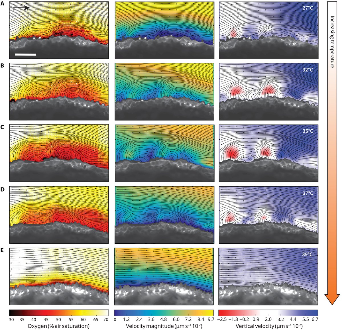 ScienceAdvances tweet picture