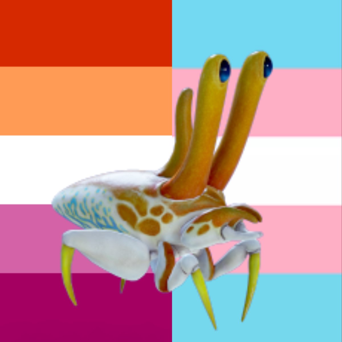 Periscopic Clowncrab (She/Her) tweet media