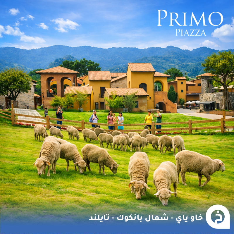 الخرائط السياحية ∣ TᴏᴜʀɪsᴛMᴀᴘs tweet media