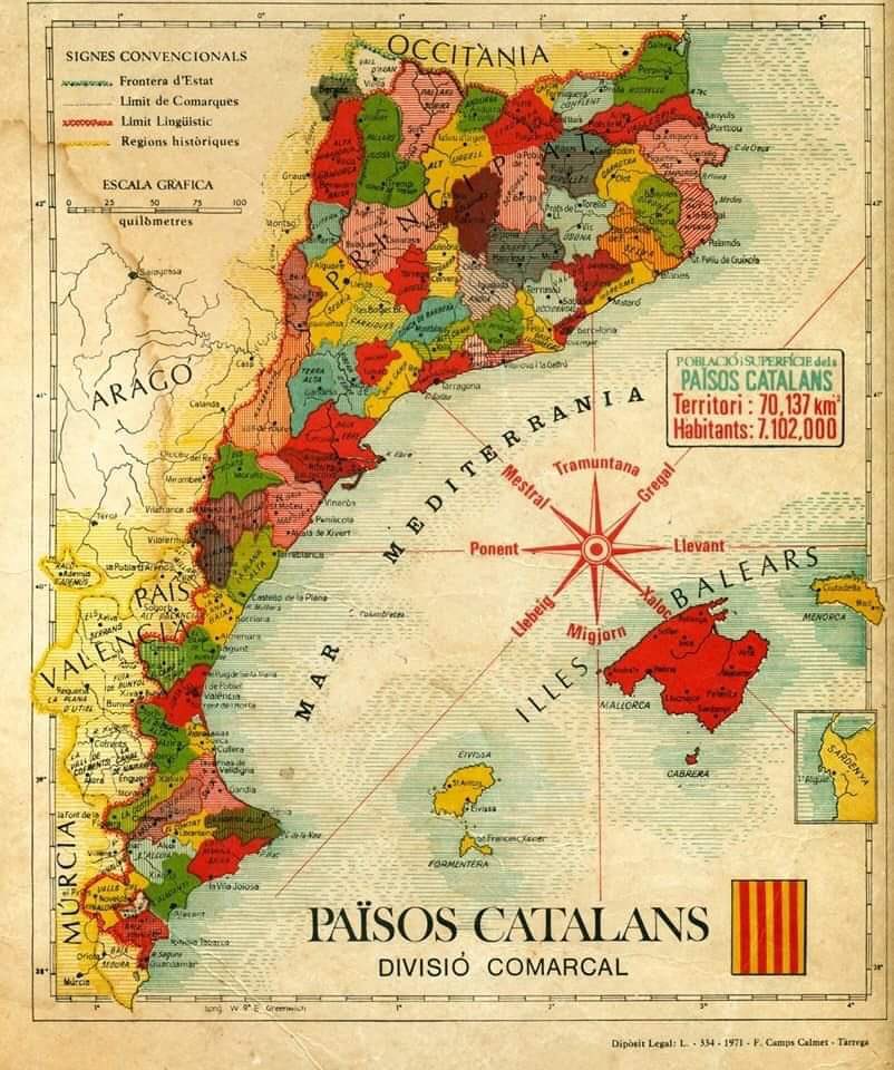 LaVidaRebelD’enFlanagan🦇IIII🏴🇮🇱☕️ tweet media