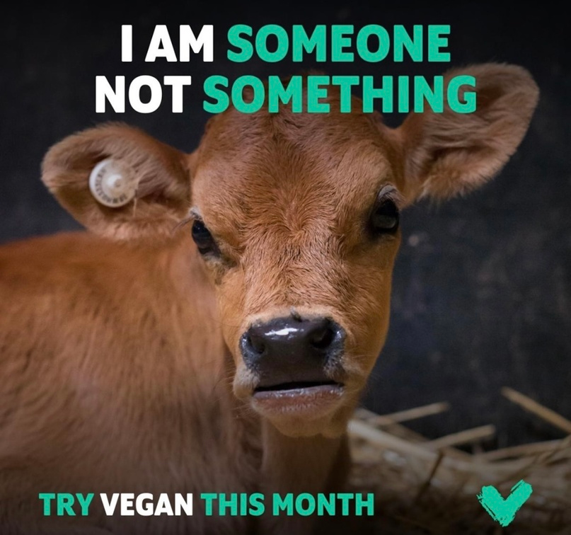 Vegan Future tweet media