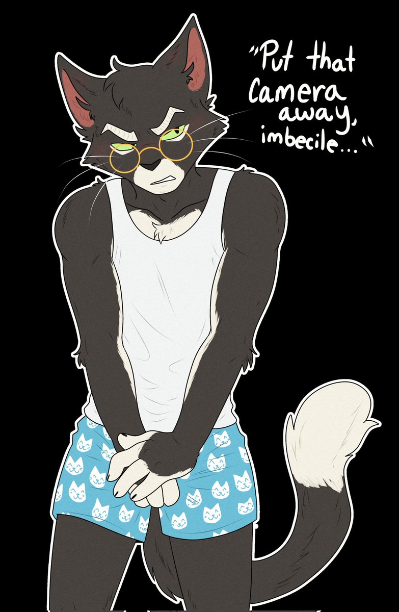 sleepiest lynx tweet media