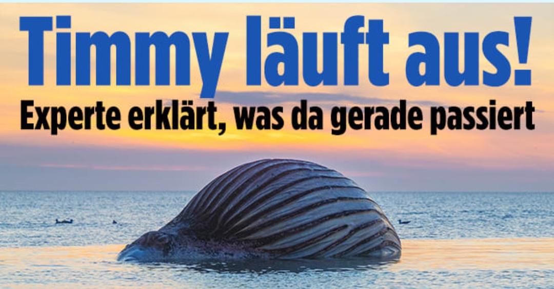 Siegvarg tweet media