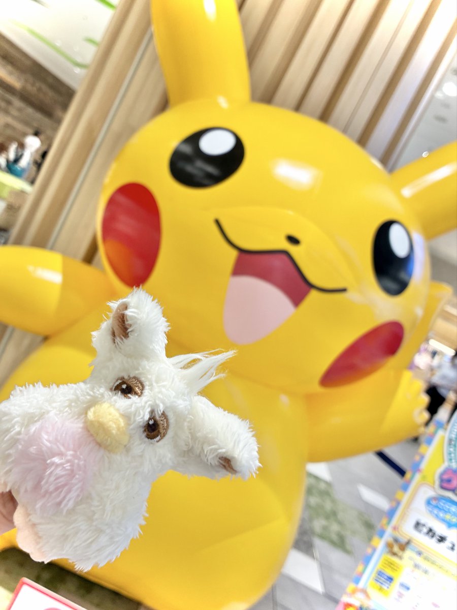 もぐりん tweet media