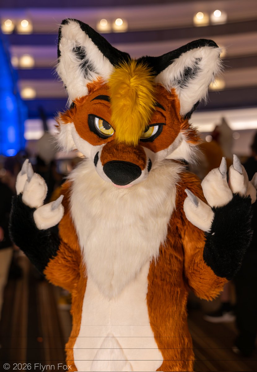 ShadowFox tweet media