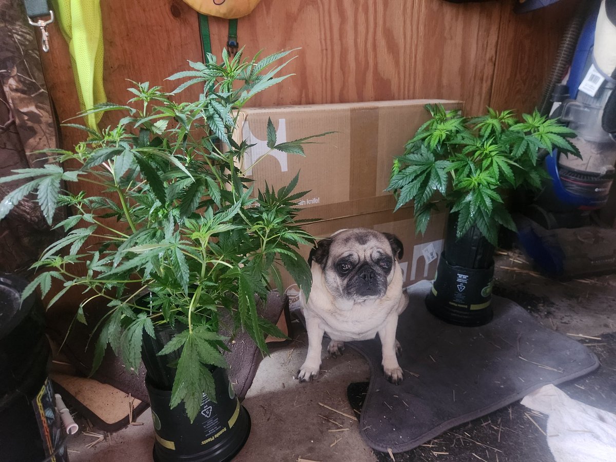 JimFradenburg's tweet photo. @Zkittles_420 https://t.co/ryraIgFXJ0
