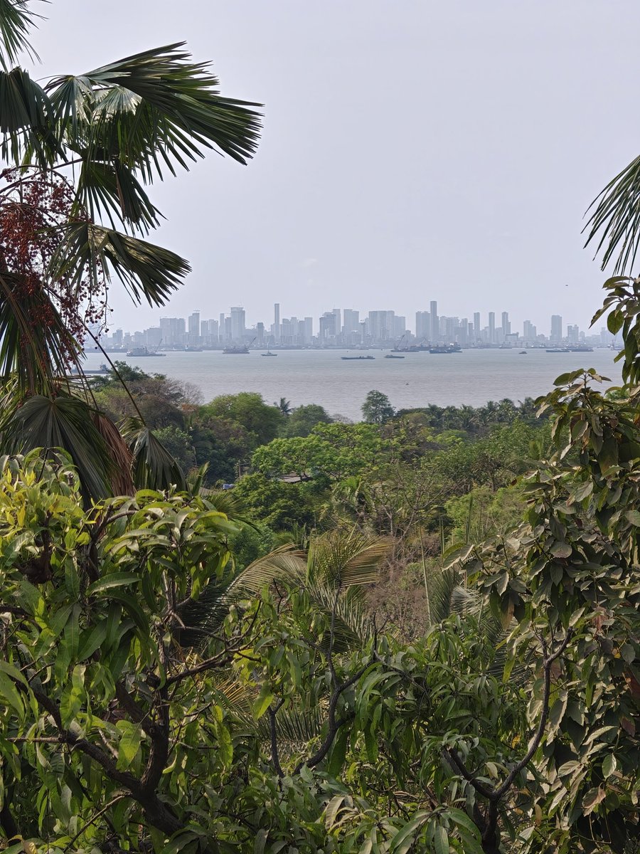 AkshayBafna's tweet photo. Clear view of Mumbai Skyline from Alibaug. DM if you're looking to purchase luxury residential real estate in Alibaug . https://t.co/MaN7L68ZQ4