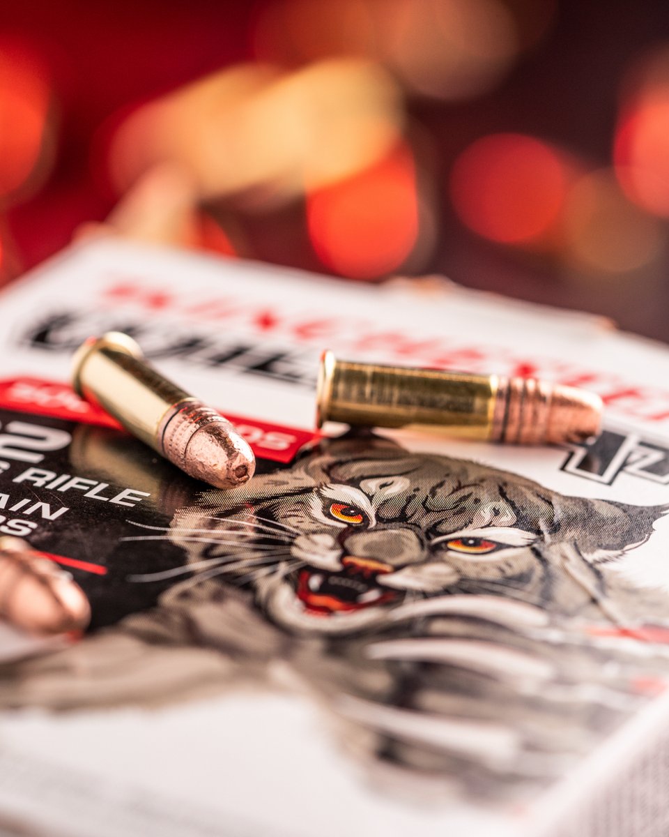 winchester's tweet photo. Fun that never quits. 

Whether you’re plinking tin cans or teaching the next generation, Wildcat .22 LR delivers the reliability and accuracy to keep the day going. 

And for even more time at the range, the new Wildcat Ammo Jug gives shooters 1,500 rounds in a durable, easy-pour, resealable container built for easy carry and storage.

#WinchesterAmmuntion #Rimfire #Plinking