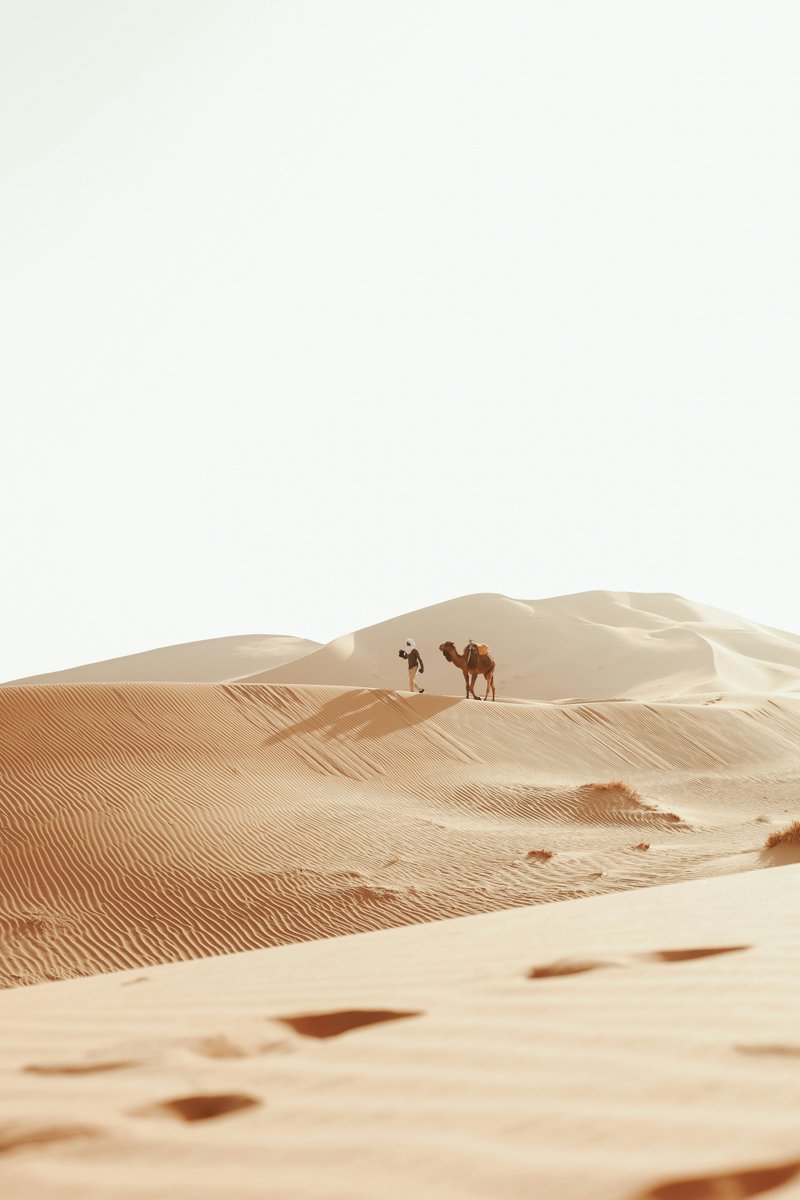 unsplash's tweet photo. Desert journey in Morocco captured by Moroccan travel and street photographer, Mehdi El marouazi 🐪

��� Comment for their profile link. https://t.co/6fmVCHJc5Q