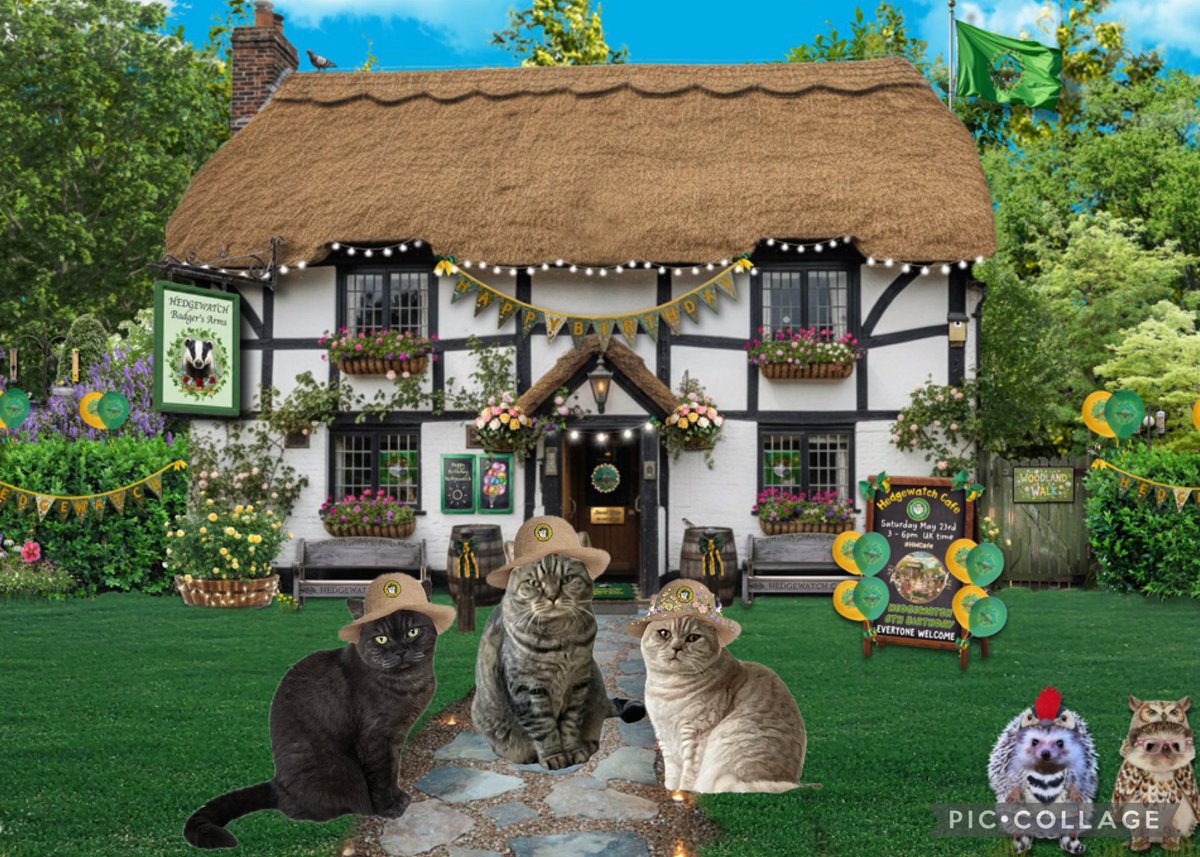Oswin, Edgar & Bertie tweet media