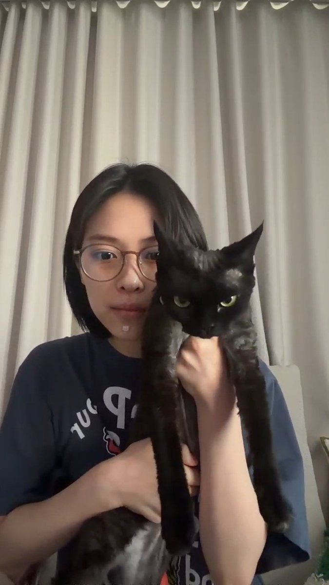 땡덩표류하다 tweet media