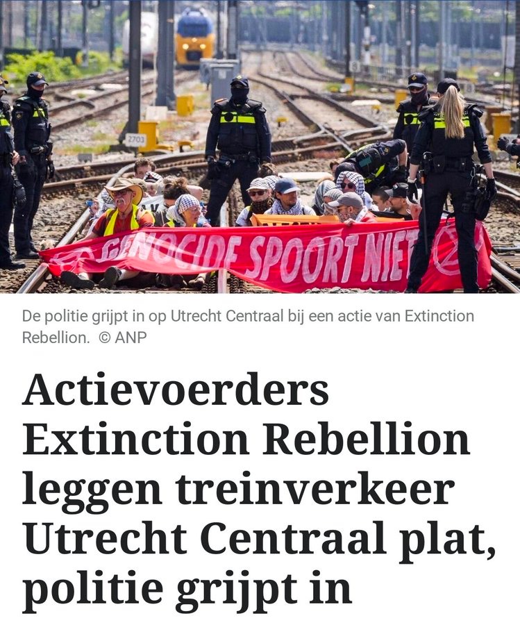 Petra van Dam tweet media
