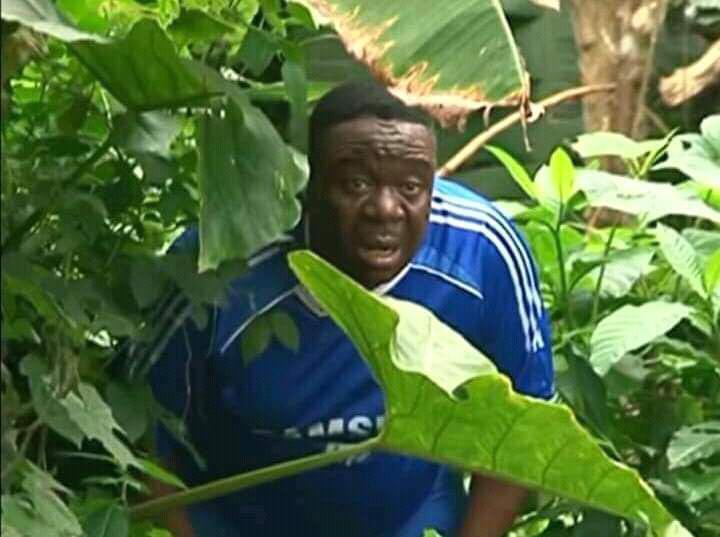 lobistars🇳🇬 tweet media