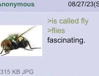 nocontextmemes's tweet photo. https://t.co/41LuX0dkZZ