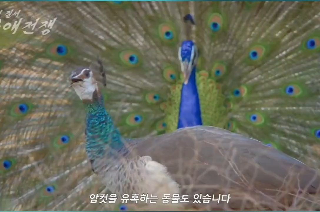 이나 tweet media