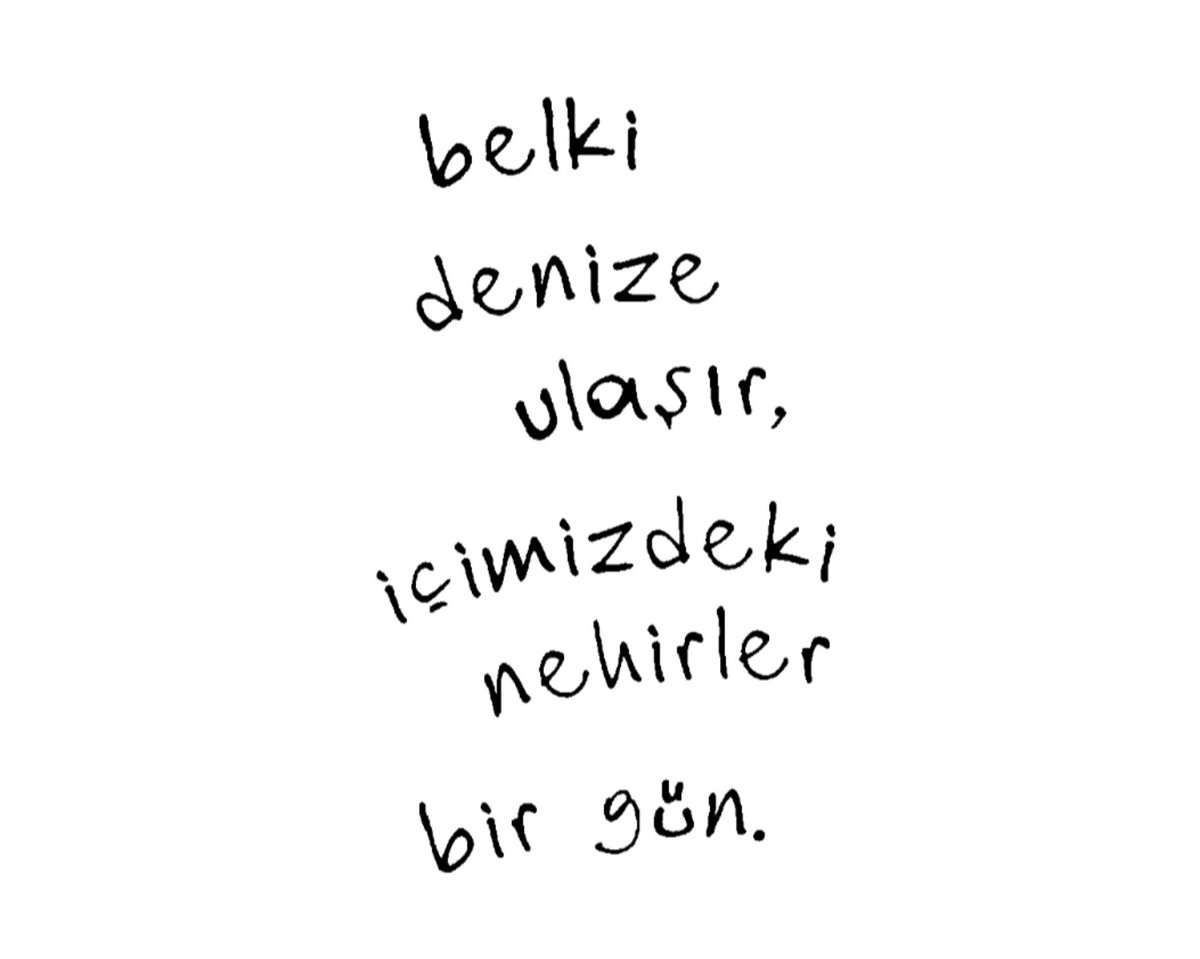 Mehmet tweet media