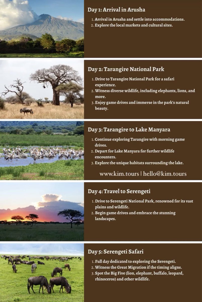 accommodat3621's tweet photo. A new beginning deserves a magical destination. Fall in love all over again surrounded by breathtaking landscapes, golden sunsets, and unforgettable safari moments in Tanzania, Africa where romance meets the wild. Learn more at https://t.co/DDhvL4PgLR https://t.co/OPd8aWGziI