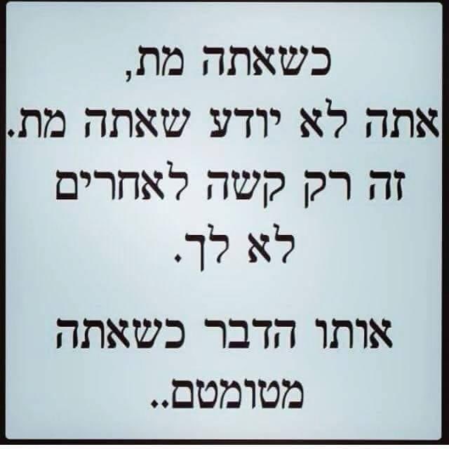 Ronen tweet media