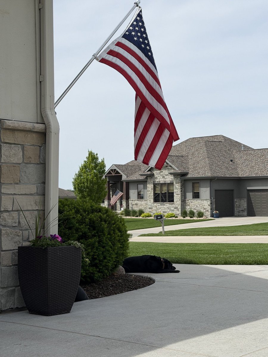 SALMON_BDS's tweet photo. Honoring the heroes who gave their lives for the freedoms we cherish. Grateful for quiet moments like this on Memorial Day weekend. 🇺🇸🐾 #MemorialDay https://t.co/kEgdkK9AHf