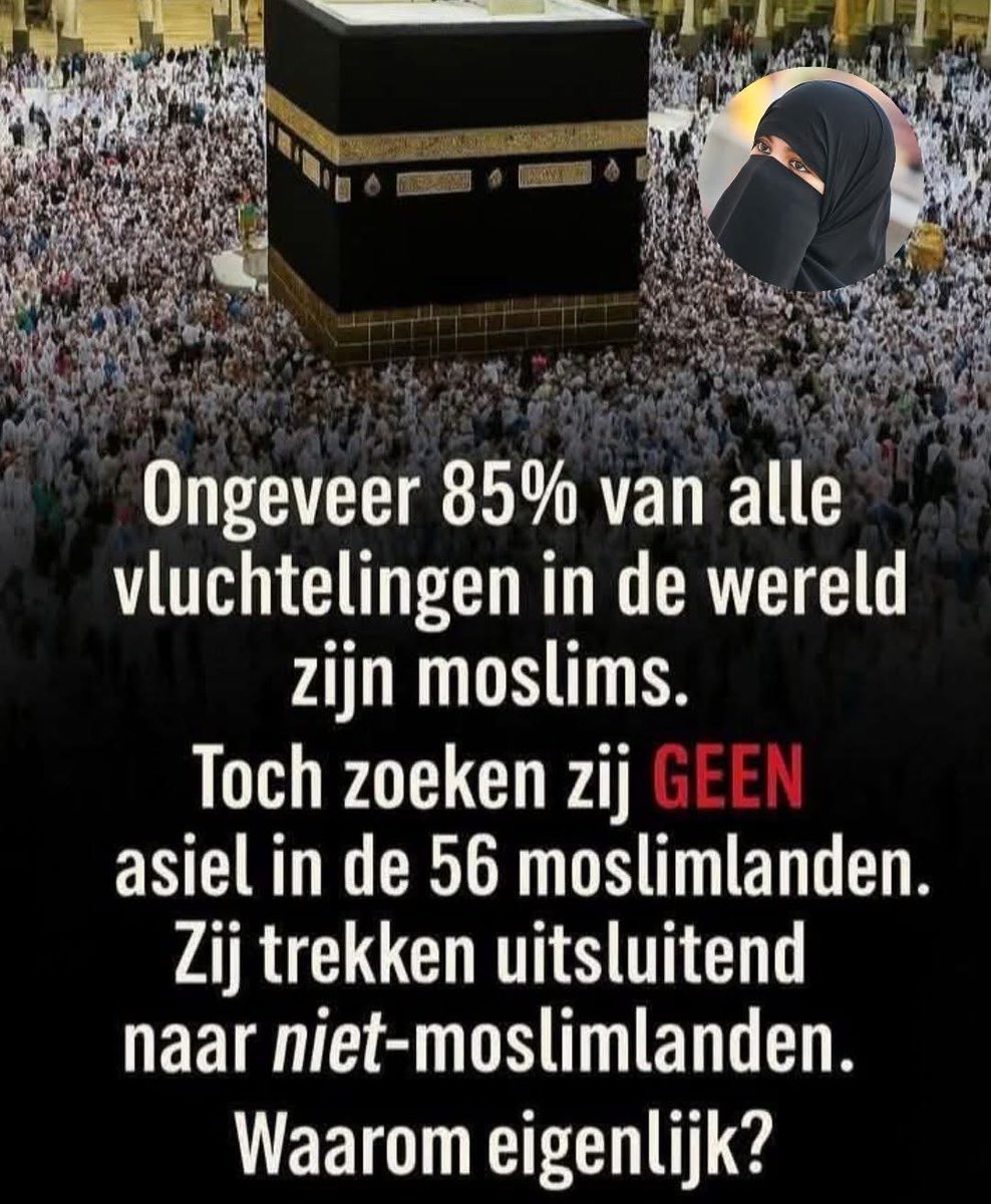 Anneke 🇳🇱 tweet media