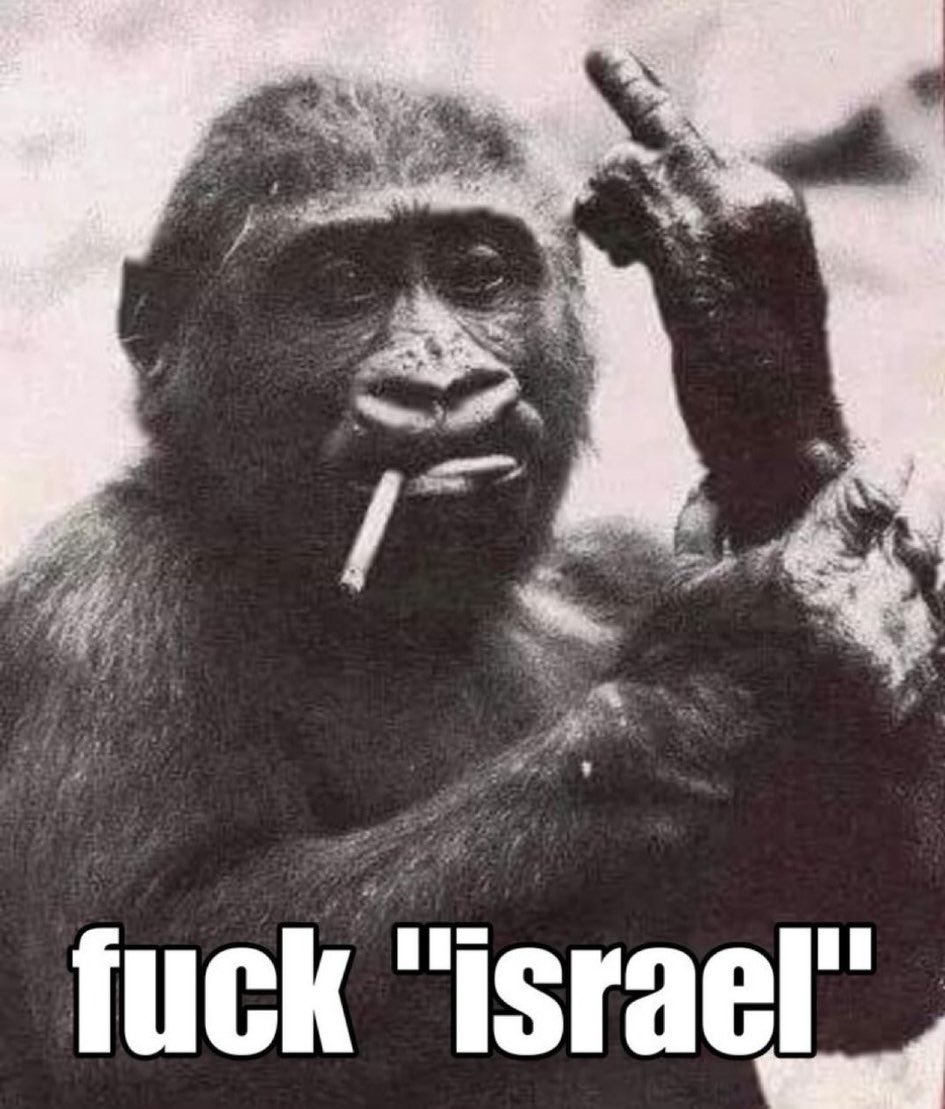 Iranian Force tweet media