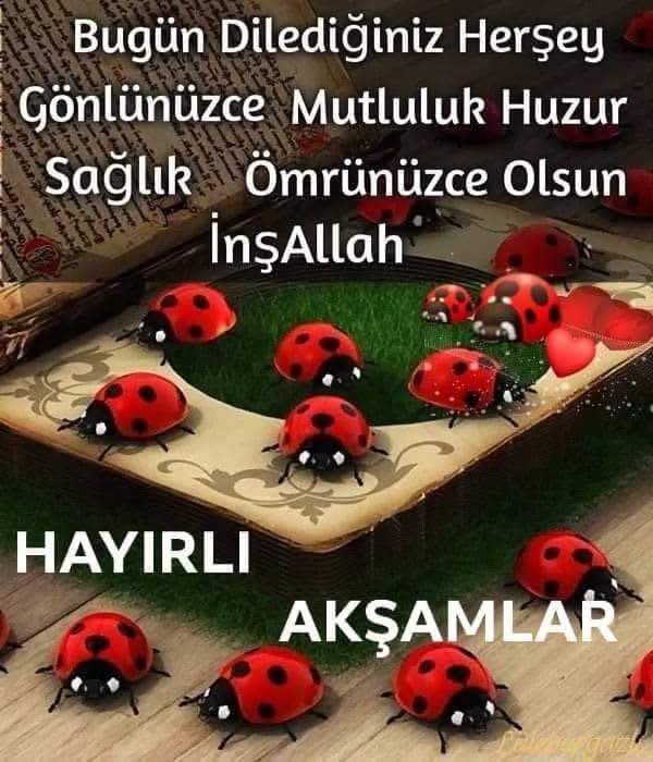 TC ÖMER ATATÜRK SEVDALISI tweet media
