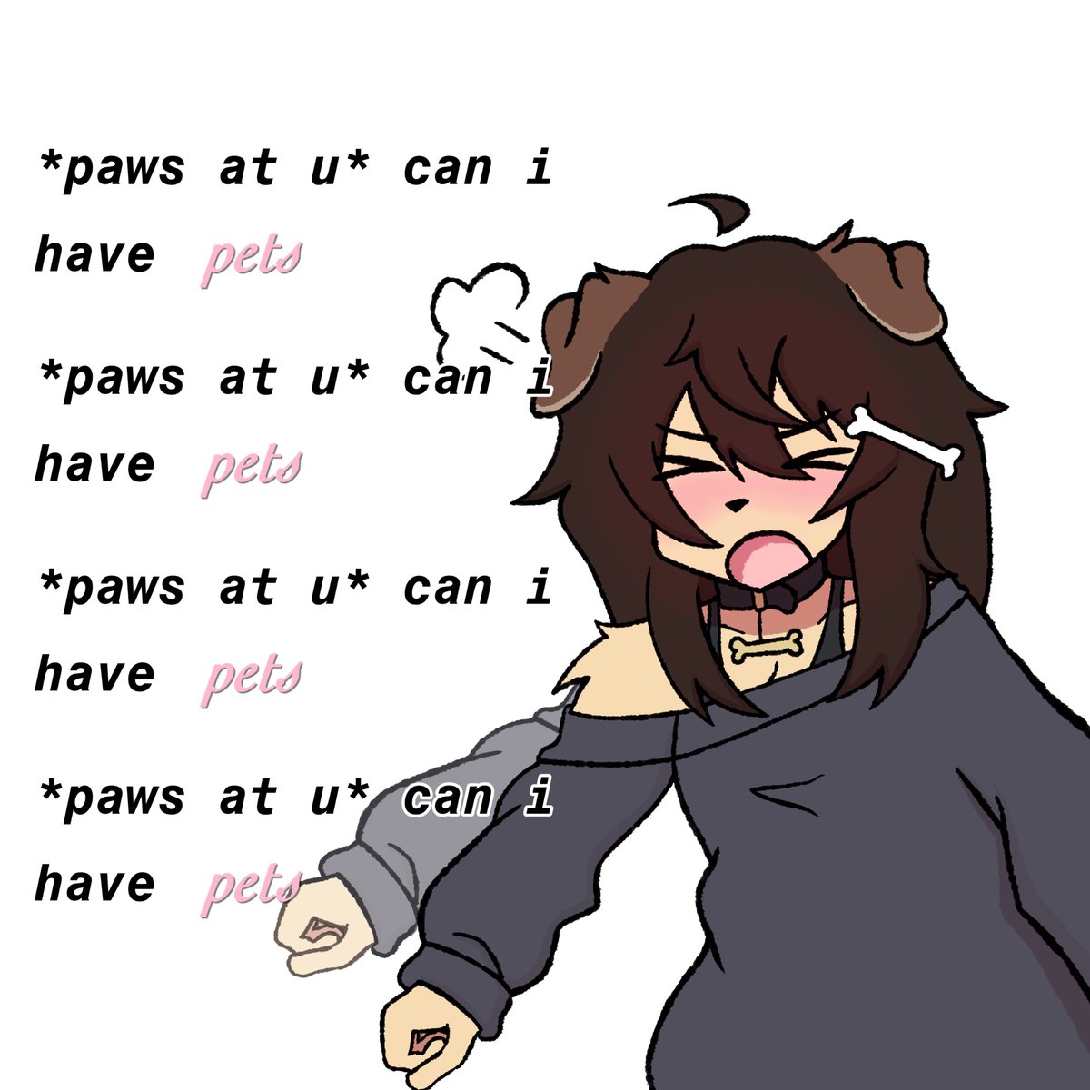 puppy🦴 tweet media