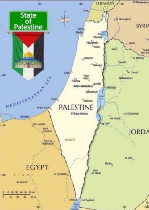 The Palestinian tweet media
