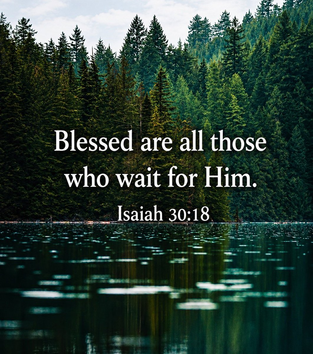 The Bible tweet media