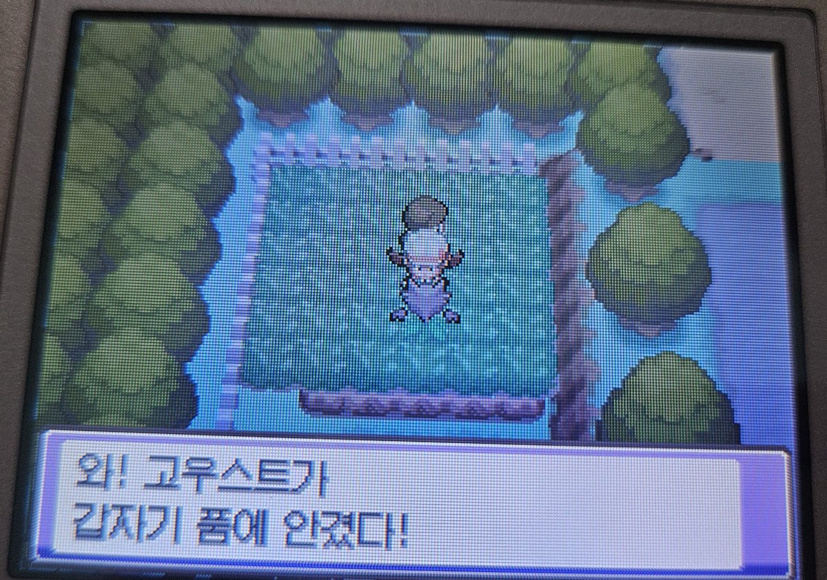 젤리 tweet media