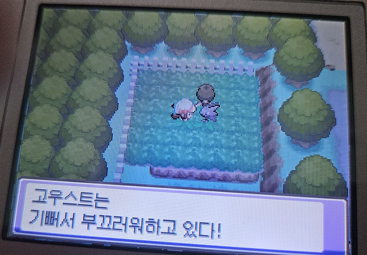 젤리 tweet media