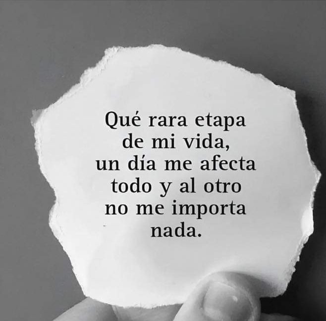 angelo_uf's tweet photo. https://t.co/jZUGQ5BxxN